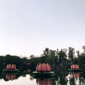 Meet your Posher, Dulcinee